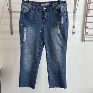 Embellished Blue Cropped Jeans